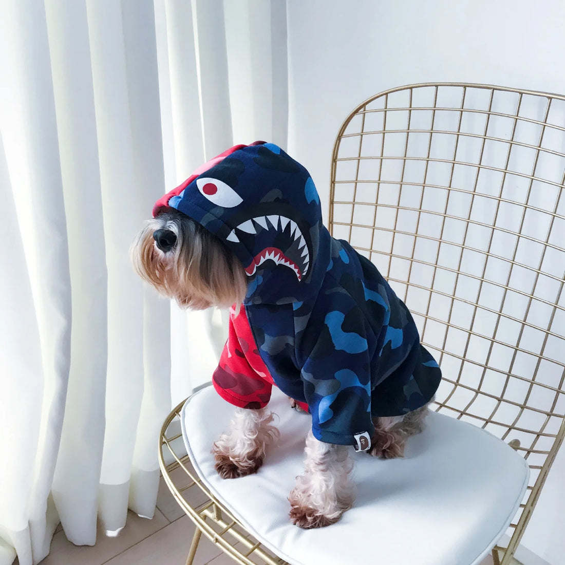 SUPREPET Cotton Thicken Clothes for Small Medium Dog Winter Camouflage Plus Fleece Pet Hoodies Shark Print Design Puppy Costume