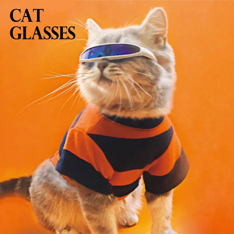 Cosplay Glasses for a Cat Fashion Cool Cats Glasses Clothes Costume Funny Photo Props for Small Dogs Clothes Cat Accessories Pet