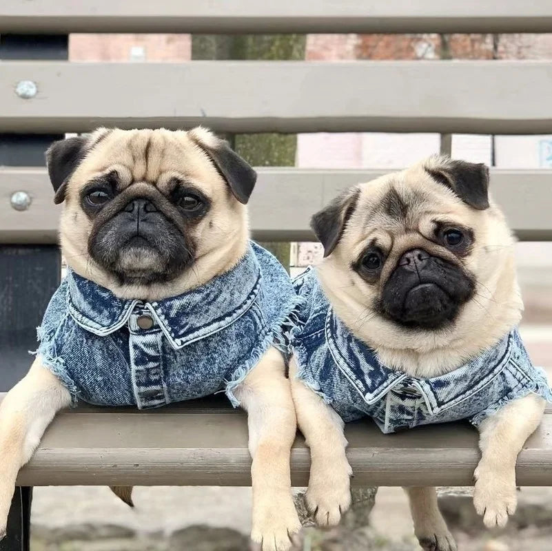 Pet Dog Jeans Jacket Denim Coats Holes Cats Puppy Vest French Bulldog Small Dog Clothes Spring/Autumn Apparel Fashion