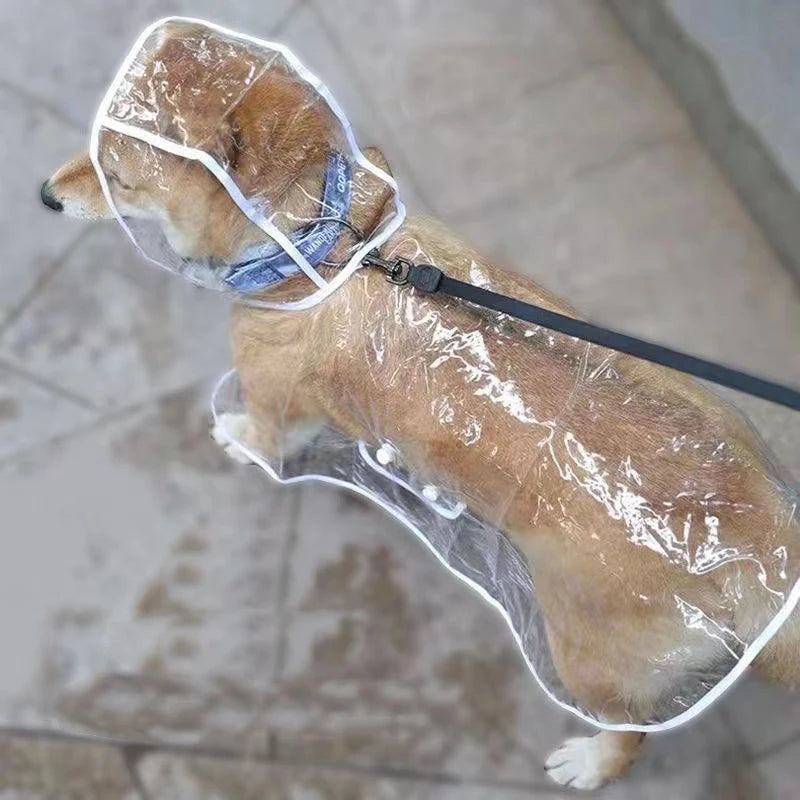 Dog Raincoat Teddy Chai Dog Special Small Dog Golden Retriever Medium Dog Puppy Poncho Waterproof Pet Clothes Corgi