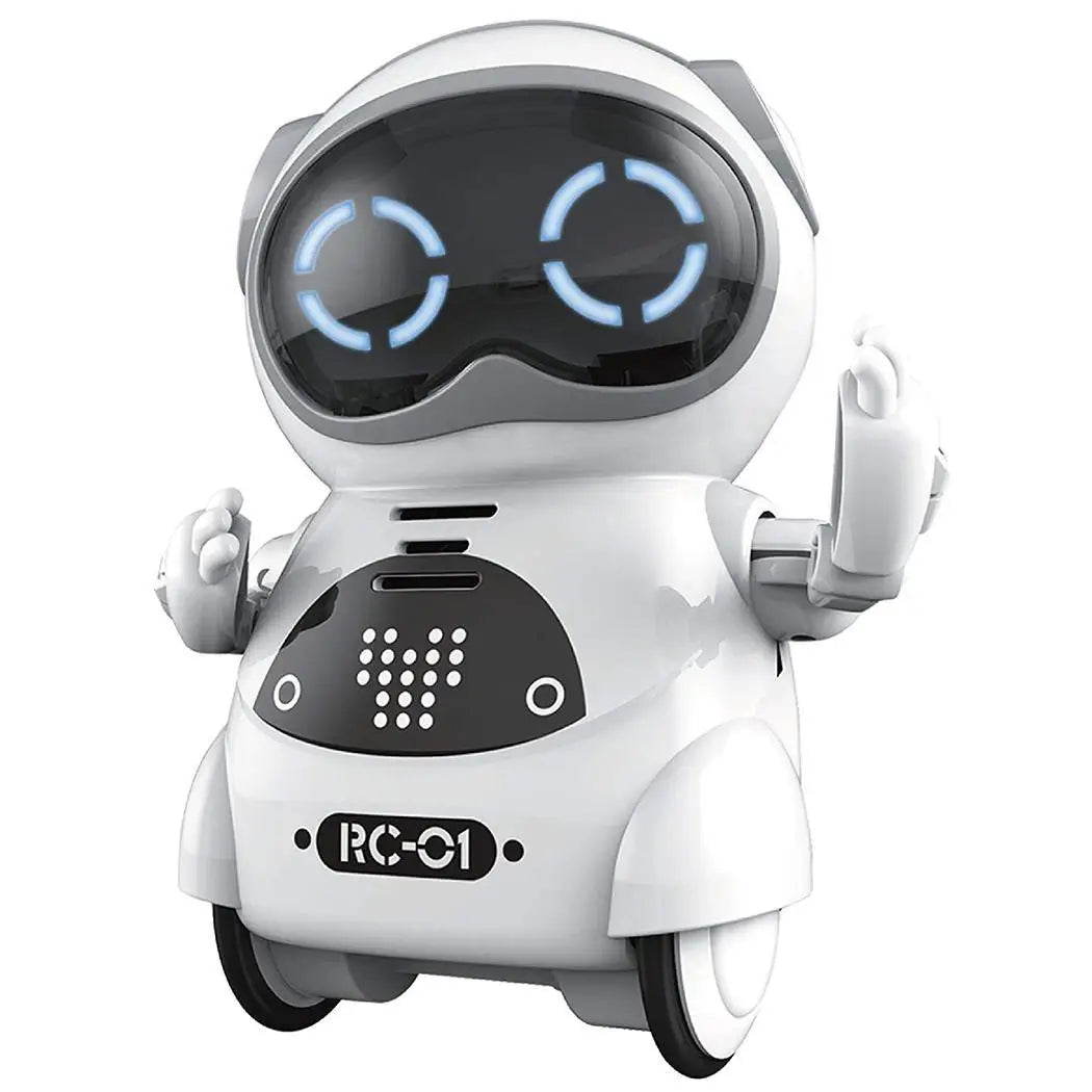 Pocket RC Robot Talking Interactive Dialogue Voice Recognitions Record Singing Dancing Mini Remote Control RC Robot Toys for Kid