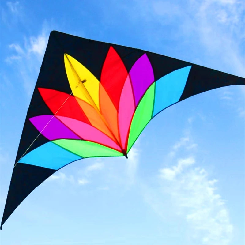 free shipping 2m large delta kite flying toys line kids kites factory delta kites flight kite string reel professional kite koi
